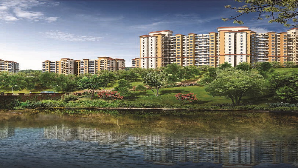 Paranjape Forest Trails